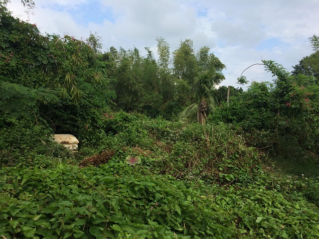 Sådan vælger du den rette bedemand i jyllinge